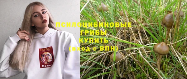 прущие крисы Белоозёрский
