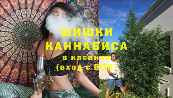 прущие крисы Белоозёрский