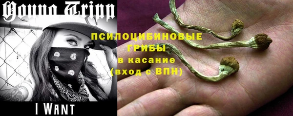 прущие крисы Белоозёрский