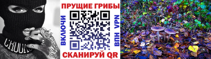 Купить где  Тамбов  Псилоцибиновые грибы Psilocybine cubensis 